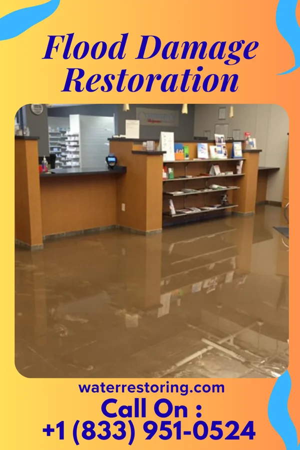 Flood Damage Restoration in Royal Hawaiian Estates, HI