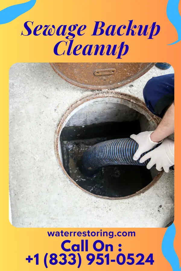 Sewage Backup Cleanup in Royal Hawaiian Estates, HI