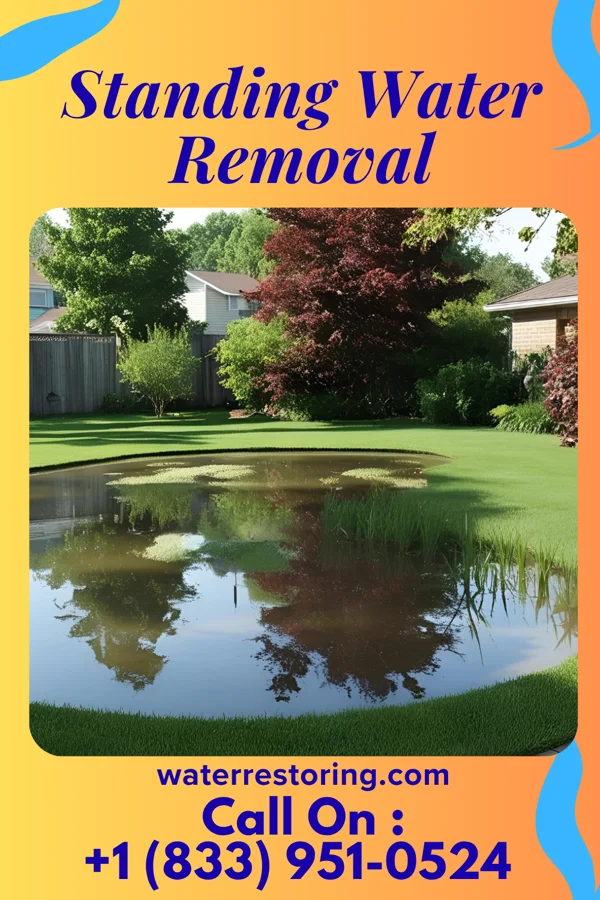 Standing Water Removal in Royal Hawaiian Estates, HI